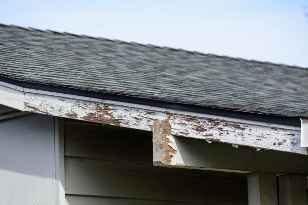Evansville Wood Rot Repair