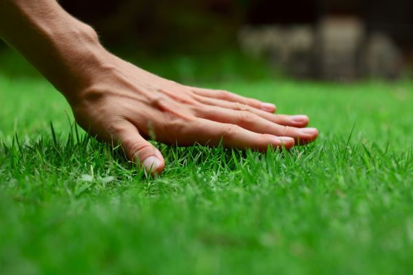 Evansville Lawn Treatment