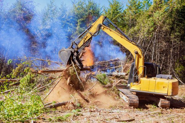 Evansville Land Clearing