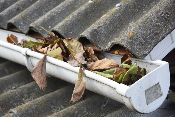 Evansville Gutter Cleaning